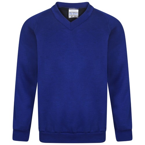 Unisex school neck jumper - school,