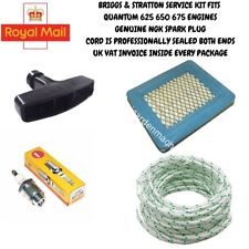 Briggs & Stratton Quantum 625