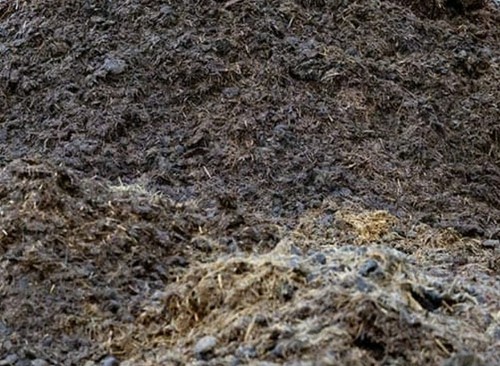 Horse manure 7kg - horse, in