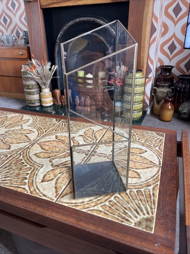Vintage plant orchid terrarium - plant,