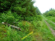 Photo 6x4 Old Dead Wooden Gate