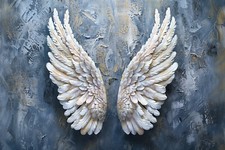 Stunning Angel Wings Canvas