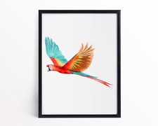 Watercolour Scarlet Macaw