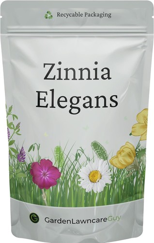 Zinnia seeds for planting - zinnia,