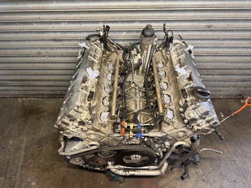 Audi v10 bare - s8,