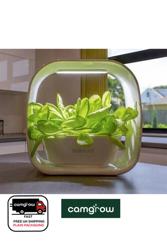 Plant herb garden indoor - -,