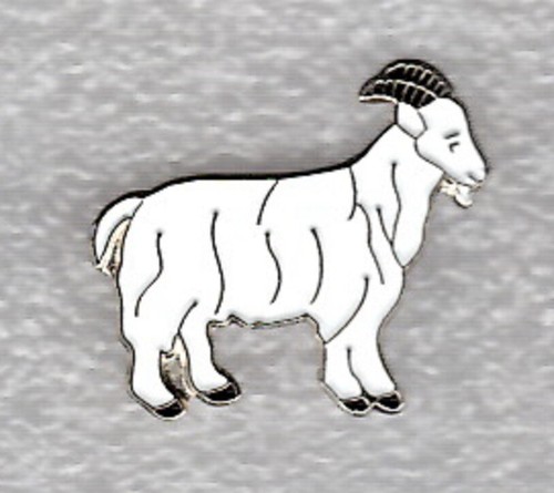 Billy goat pin badge - pin, badge.