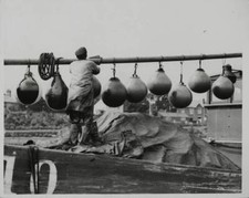 Worker hanging out freshly