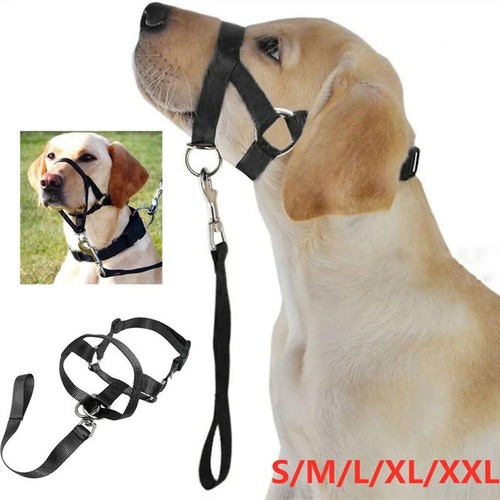 Halti headcollar non pull - non,