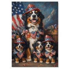 Bernese Mountain Dog Patriotic