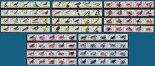 Birds the world - world, definitives