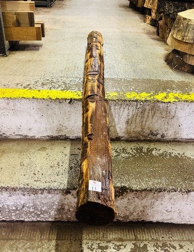 Snakewood aaa grade log - snakewood,