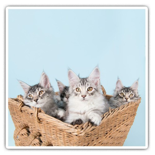 Square stickers cm - stickers,