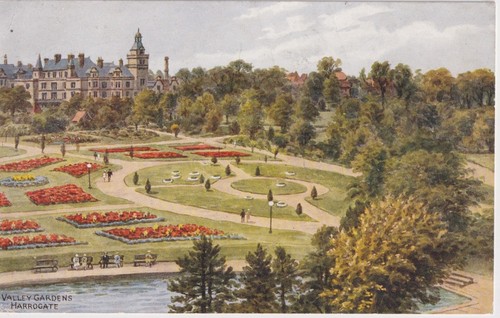 Postcard 1952 valley - postcard,