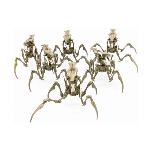 Mongoose starship troopers - mongoose,