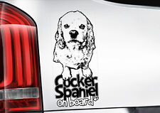 American Cocker Spaniel Car