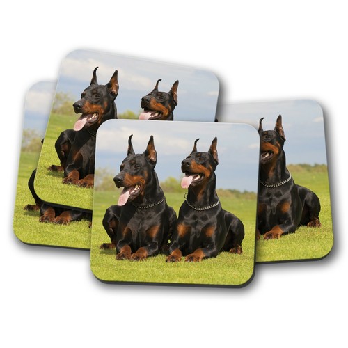 Set dobermann dogs coaster - 4,