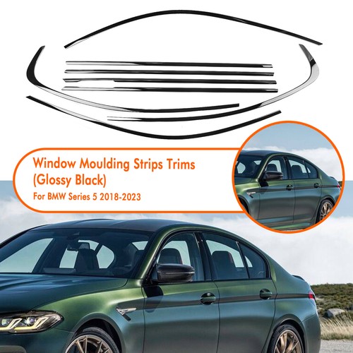 Window moulding weatherstrip - window,