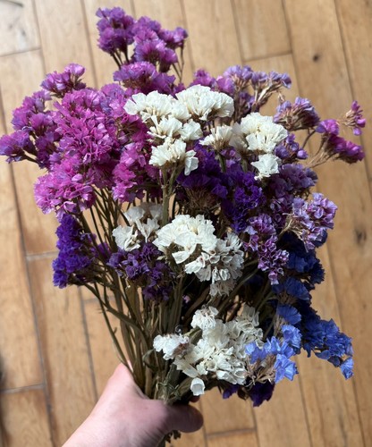 Sea lavender dried flower - dried,