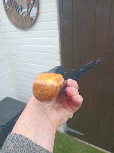 Irish blackthorn stick 39 - blackthorn,