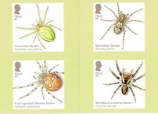 2024 phq 536 spiders - 2024,
