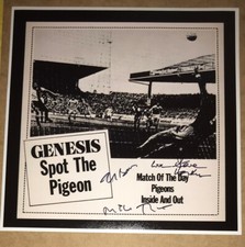 SIGNED GENESIS SPOT THE PIGEON 12x12 PHOTO RUTHERFORD HACKETT BANKS AUTHENTIC
