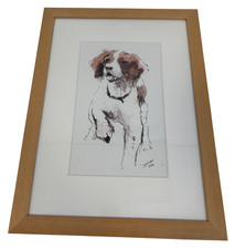 Watercolour/Sketch Springer