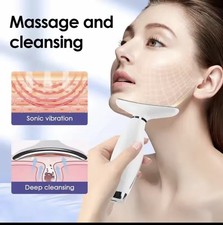  Electric Face Massager