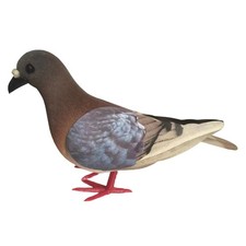 Foam Pigeon Model Simulation