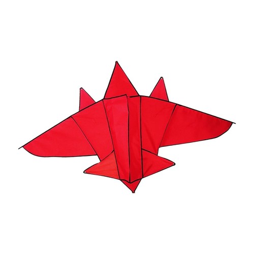 Giant airplane shaped kite - giant,