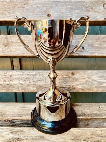 Silver trophy 25 - trophy, 9.25”