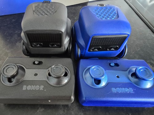Boxer interactive robot - boxer,