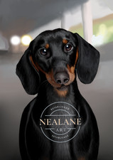 Lost dog in a carpark