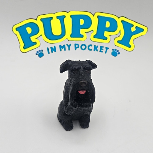 1995 puppy in - -, my