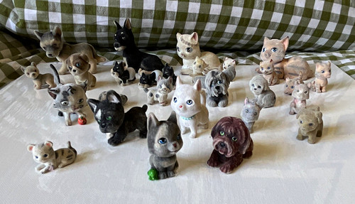 Puppy kitty pocket - puppy/kitty, my