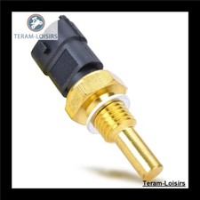 Thermostat radiator probe for - thermostat,