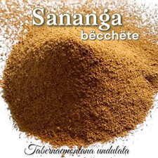 Sananga Root Powder (bëcchëte) - Tabernaemontana undulata - Sacred, FRESH 10gr