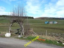 Photo 6x4 Willow arch, Kirkton