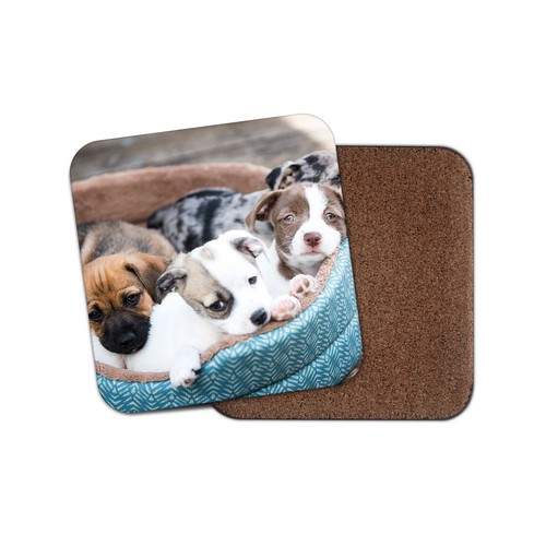 Cute puppies cork backed - puppies,
