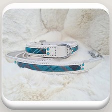 Teal Scottish Tartan Dog Show