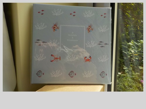 Sophie allport what catch - a, catch'