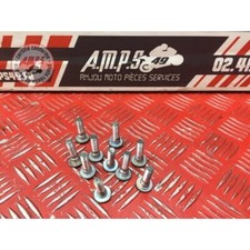 Front brake disc screw