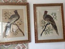 A Pair of 19th century Victorian Watercolour And Feather Pheasant Paintings
