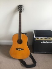 electro acoustic guitar