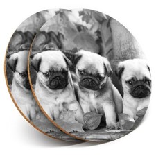 2 x Coasters bw - Pug Puppies