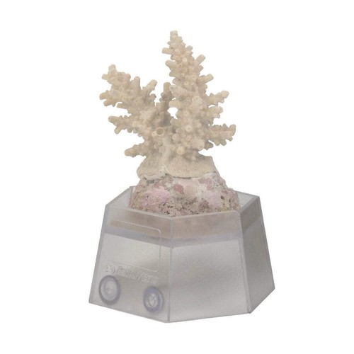 Aqua medic coral - aqua, holder