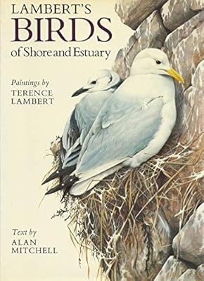 Birds shore and estuary - birds,