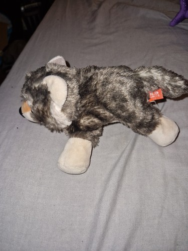 Wild republic husky dog - wild,
