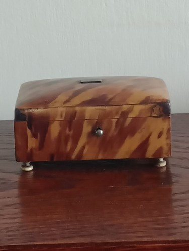 Georgian faux tortoiseshell