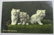 Postcard Cats Kittens Wildt & Kray series 3396 Three Little Beauties VINTAGE